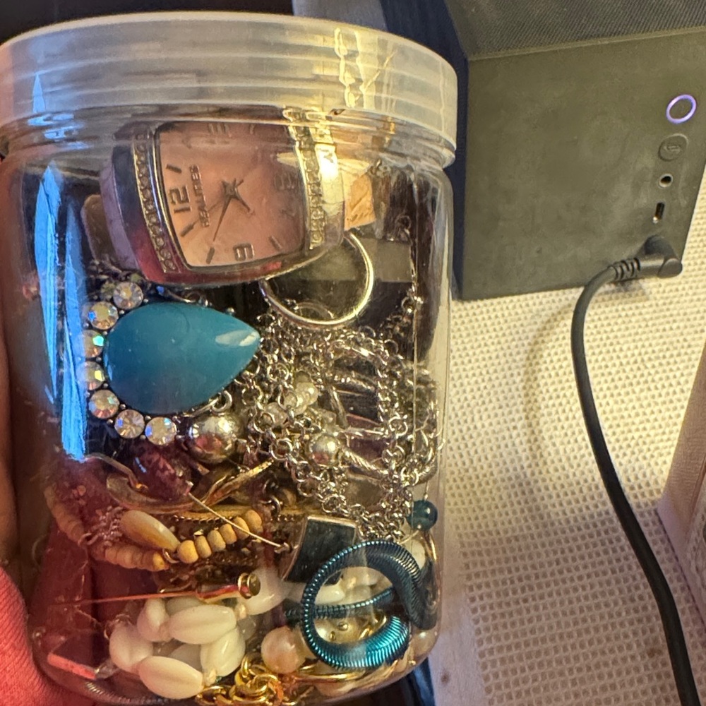 Assorted Mystery Jewelry in clear container